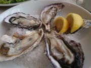 NbV[̃VvICX^[nEX hoVr܃rX̓eʐ^1