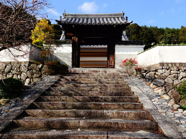 ��O��_��O��