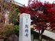 しどーさんの総持寺（大阪府茨木市）の投稿写真1