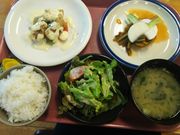 ̂̂̂̂̃g}g̓ނ̓eʐ^1