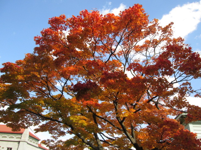 �Y��ł��ˁ`_��O��