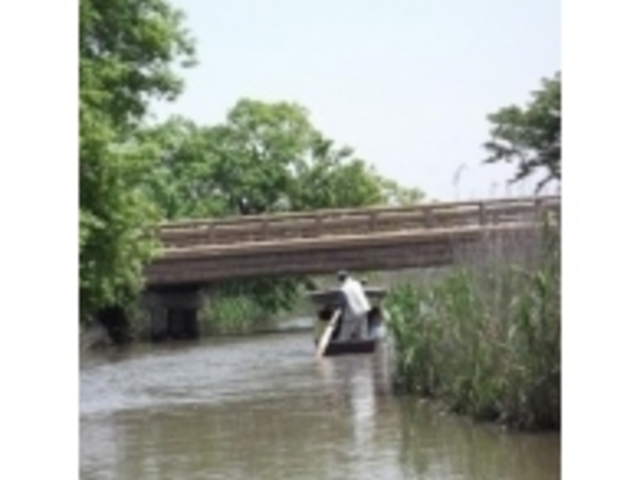 ���������葆���D_�����߂���(�����̂��Ɓ@�܂���)