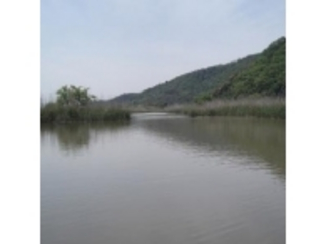 ����_�����߂���(�����̂��Ɓ@�܂���)