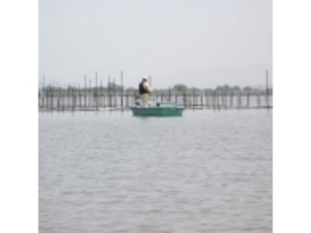 ���̌�_�����߂���(�����̂��Ɓ@�܂���)