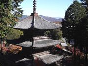 ���܂���񂳂�̏�y���{���̓��e�ʐ^3