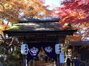 ܂񂳂̒掛ij̓eʐ^1