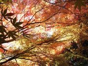 ܂񂳂̒掛ij̓eʐ^2