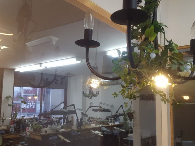 �������ȁg�H�[�h���̂���X��_�X�̒�������gouttedor