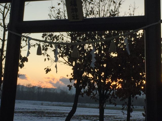 �[�����I�X�X���ł��B_�K���_��