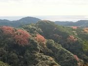 sO񂳂̉ԉŊX̓eʐ^2