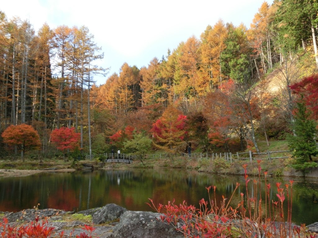 せせらぎ街道の紅葉