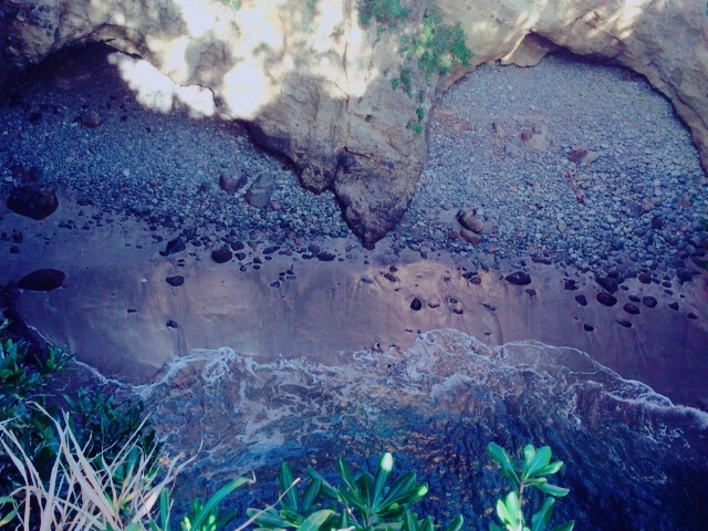 �����^�Ɍ������_���{�A