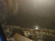 satotana̓̒߉̓eʐ^2