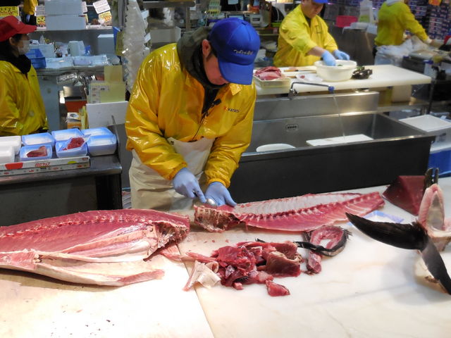 �}�O����̃V���[_�Ƃ�Ƃ�p�[�N