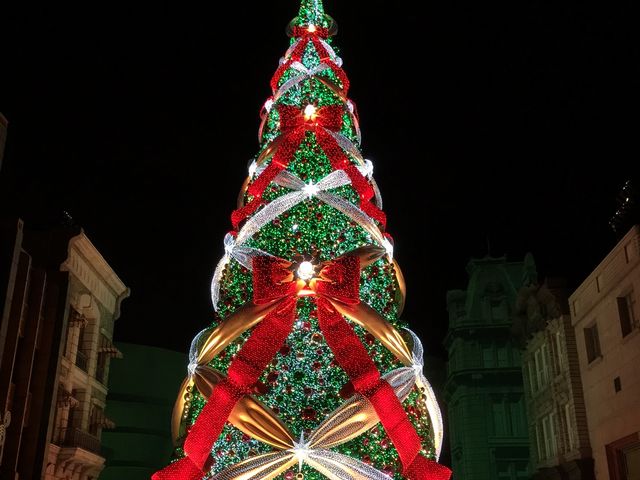 �c���[���߂������Y��ł����B_���j�o�[�T���E�X�^�W�I�E�W���p���iUSJ�j