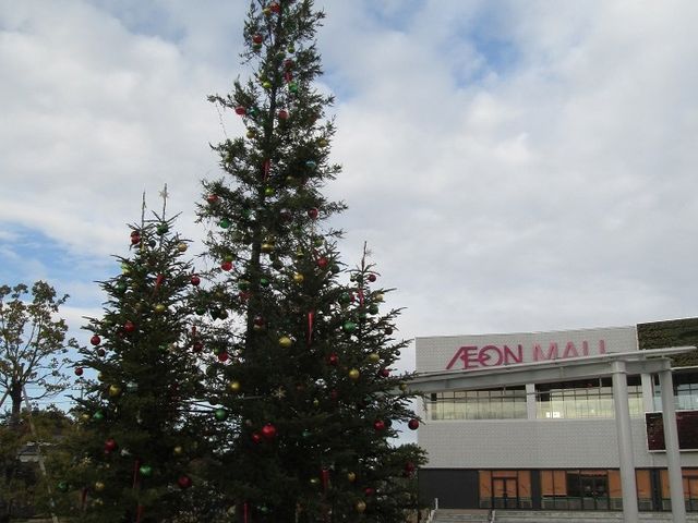 �C�I�����[�����v��_�C�I�����[�����v��