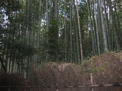 TATK̒|т̓ւ̓eʐ^1