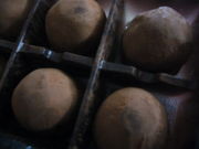 saĩAWFbNH[W@{X̓eʐ^1