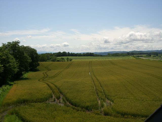 `܂˂̃O[qEXOT̓eʐ^1