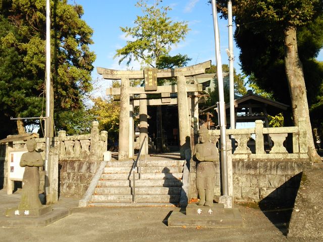 ��O�����ɐD�P�E�����A2�N�O�܂ł���Ȃ��̖��������̂�_���[�_��