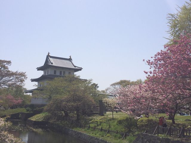 2015�N05�� �����ł����c�I_���O��