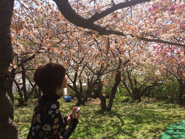 2015�N05�� �����Ȏ�ނ̍����B�����c�I_���O����