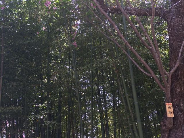 2015�N05�� �|�т�����܂����B�k�C���Œ������B_���O����