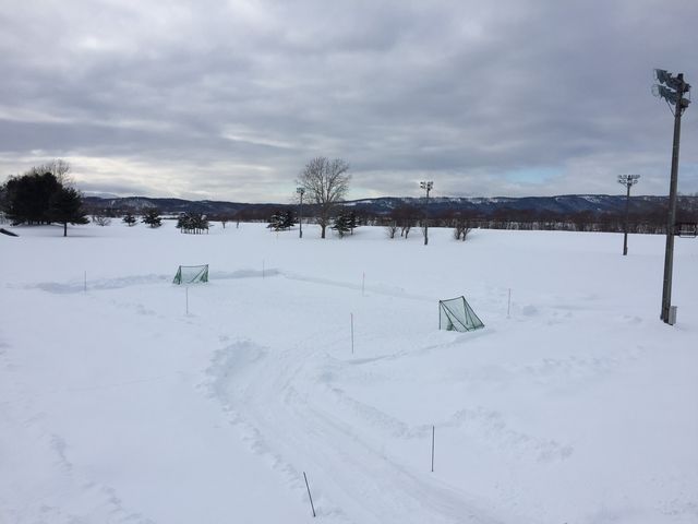 ���ړI�R�[�g�i�R�O���~�Q�O���j_�����X�P�[�g�����N