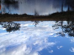 �݂΂��B����̃J�k�[�V���b�v�q���C���ւ̓��e�ʐ^1