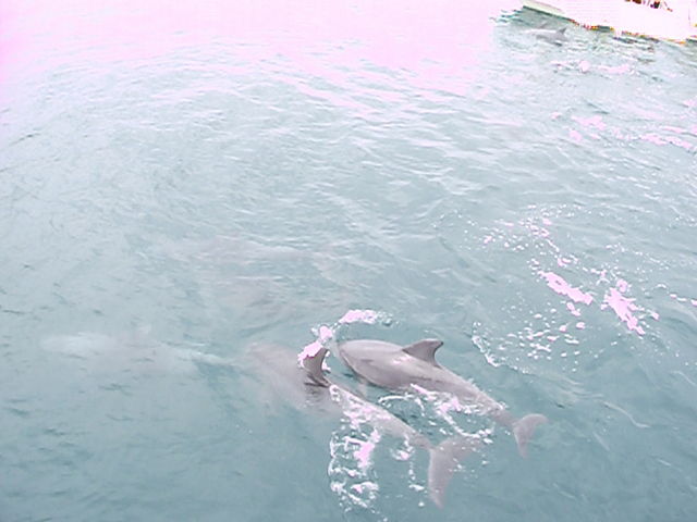 �C���J�E�H�b�`���O�i���̉w �V���s�C���J�Z���^�[�j