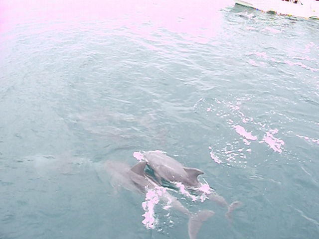 �C���J�E�H�b�`���O�i���̉w �V���s�C���J�Z���^�[�j