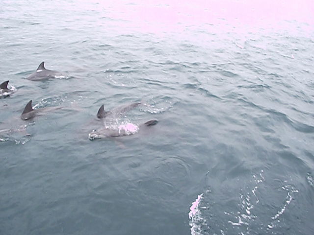 �C���J�E�H�b�`���O�i���̉w �V���s�C���J�Z���^�[�j