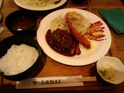 korikorĩJtFXg LANAI̓eʐ^2