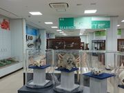 x̓Cmw}TCGX~[WA̓eʐ^1