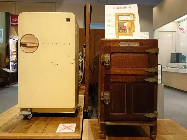 �ނ����̕׋��E�ނ����̗V�тU_��z�s��������