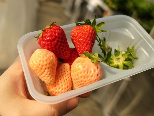 �ґ��_���c��������