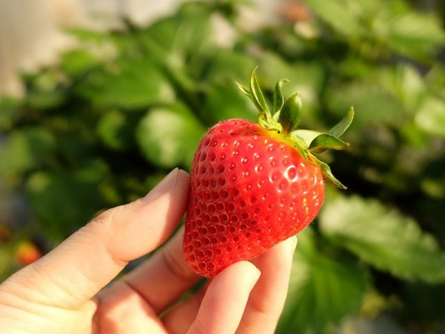 �ւ��܂ŐԂ��āA����オ���Ă���̂����������ł�_���c��������