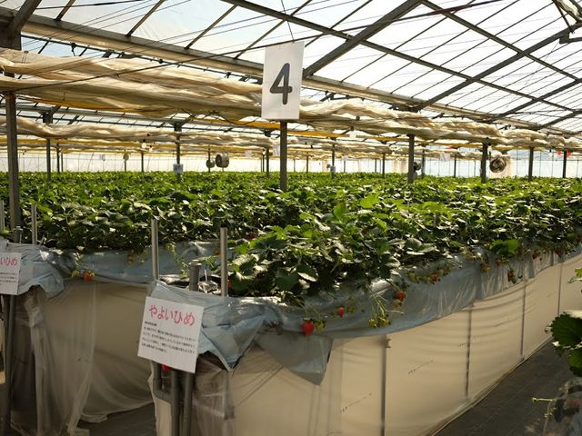 �����ŐH�ׂ₷��_���c��������