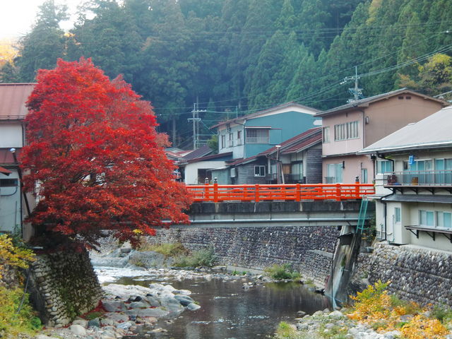 ���쉷��r�W�^�[�Z���^�[