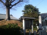 Ƃ񂳂̑啽ꗢ˂̓eʐ^1