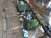 񂳂̂񂴂炵̓XE̓eʐ^1