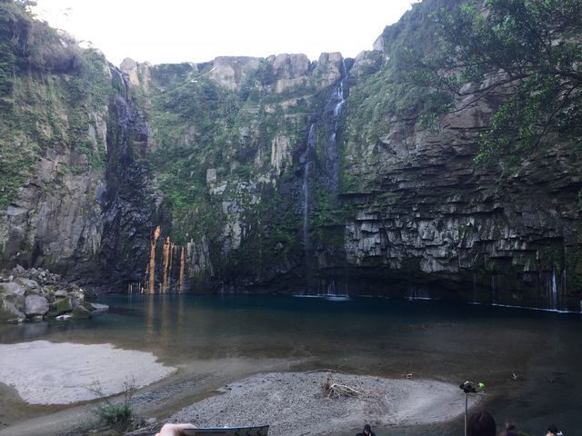 �Y��̑�_�Y��̑�