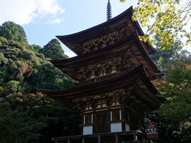 三重塔_西明寺三重塔