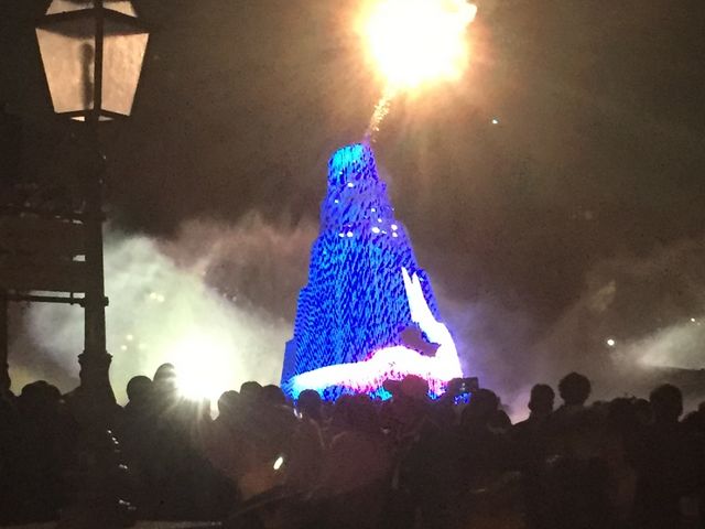 ����̃c���[2017_�����f�B�Y�j�[�V�[(R)