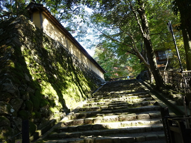 ����.1
_�Γ��O�R ������