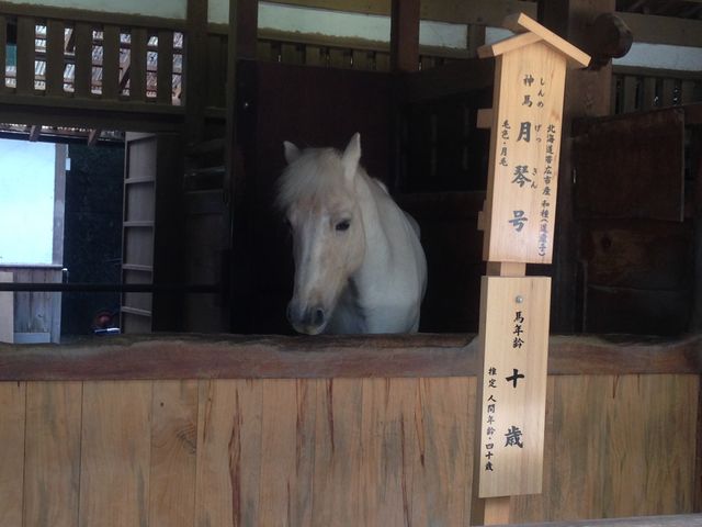 �_�n_�����䗅�{