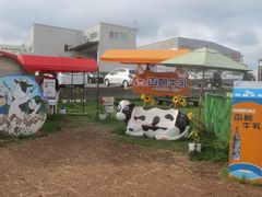 JOE����̂������P�P�W�ւ̓��e�ʐ^1