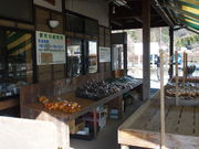 ͂5525̓cӂ邳ƌ̓eʐ^5