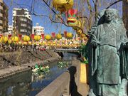 poporon̒̐΋Q̓eʐ^3