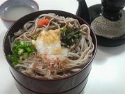 Ƃ񂳂̖{Ƒ劁̓eʐ^3